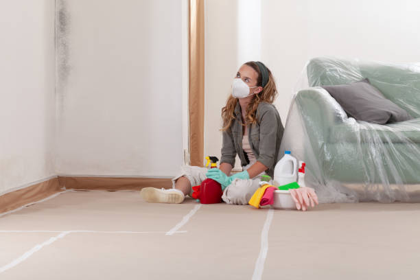 Reliable Mold Inspection And Testing contractor in Freeland, MI by 24 Hour Mold Removal